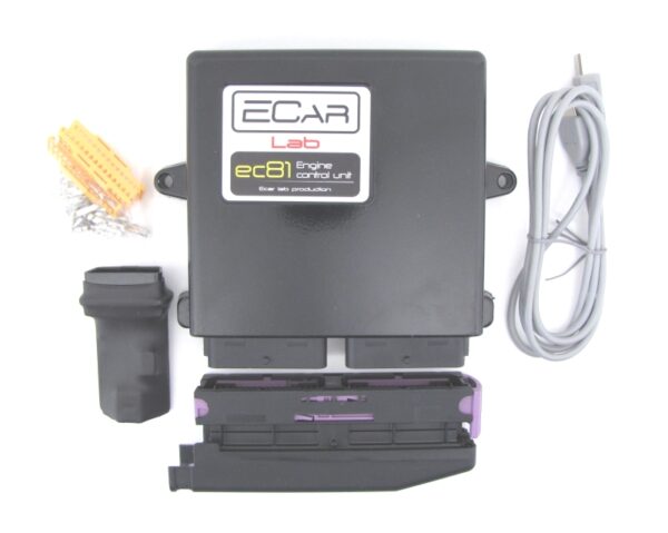 EC81 — Универсальный программируемый ЭБУ ECar lab